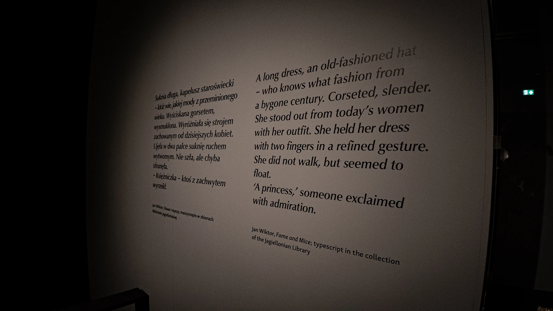 Druk ścienny Kraków – realizacja MNK – Boznańska. Kameralnie – 1