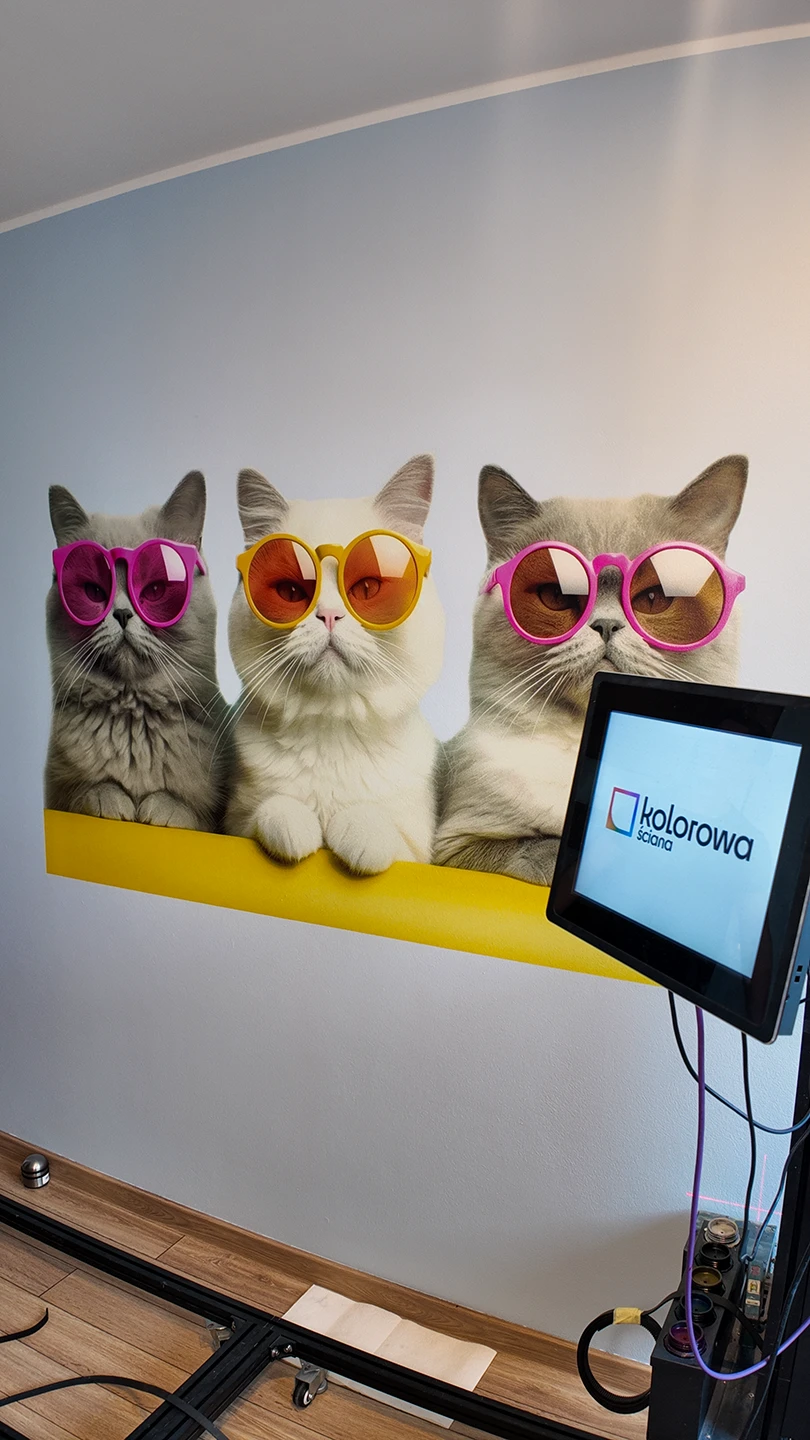 Druk ścienny Kolonia Dzietrzkowice – realizacja Dom Prywatny