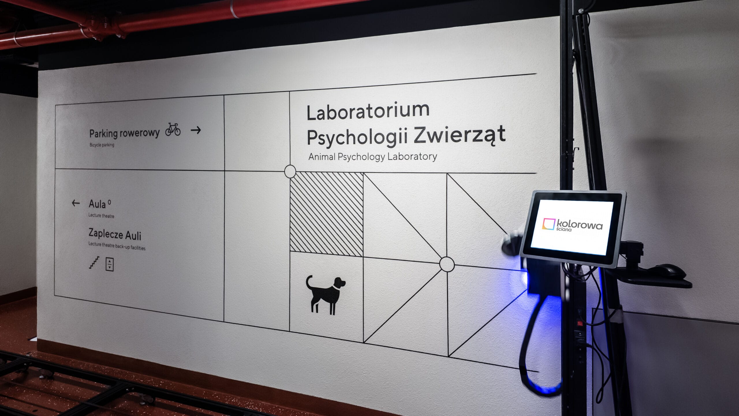 Druk ścienny Warszawa – realizacja Uniwersytet Warszawski – Wydział Psychologii